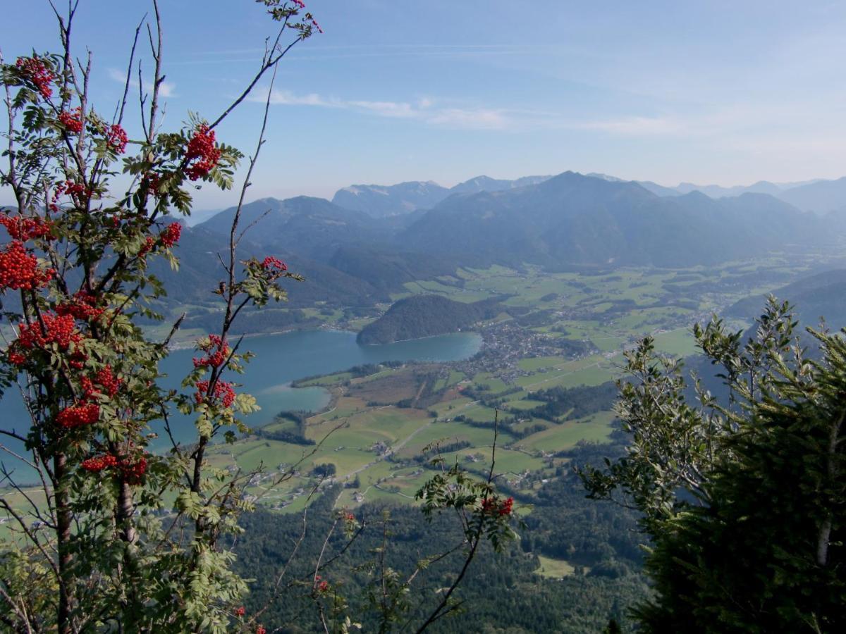 Apartment Am Wolfgangsee Strobl Bagian luar foto