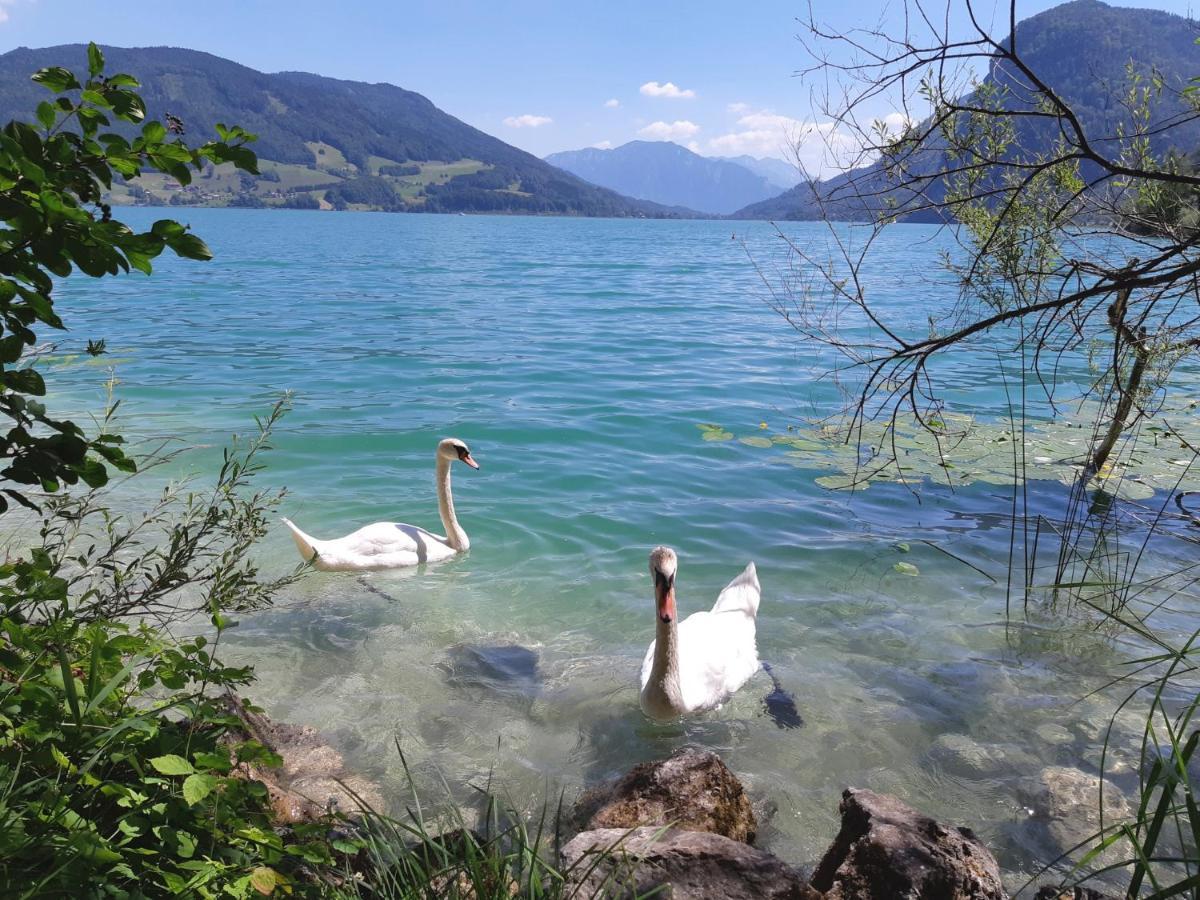 Apartment Am Wolfgangsee Strobl Bagian luar foto